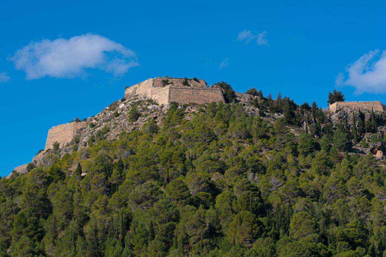 Villa Galini أسوس المظهر الخارجي الصورة