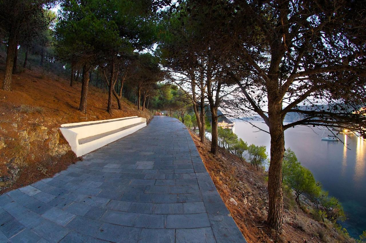 Villa Galini أسوس المظهر الخارجي الصورة